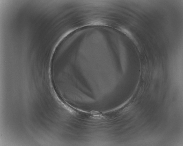 X0000064061331200602101520