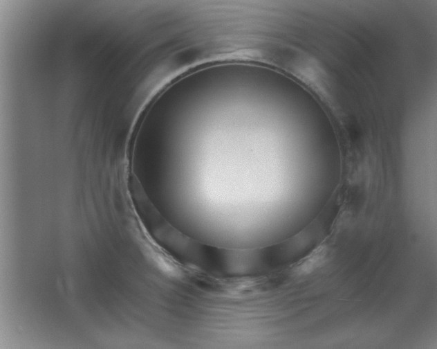 X0000064061332200602101520