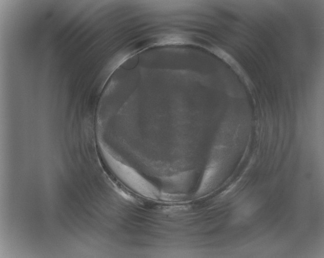 X0000064061337200602101520
