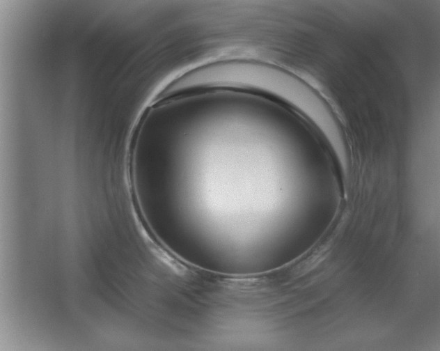 X0000064061342200602101520
