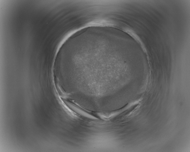 X0000064061344200602101520