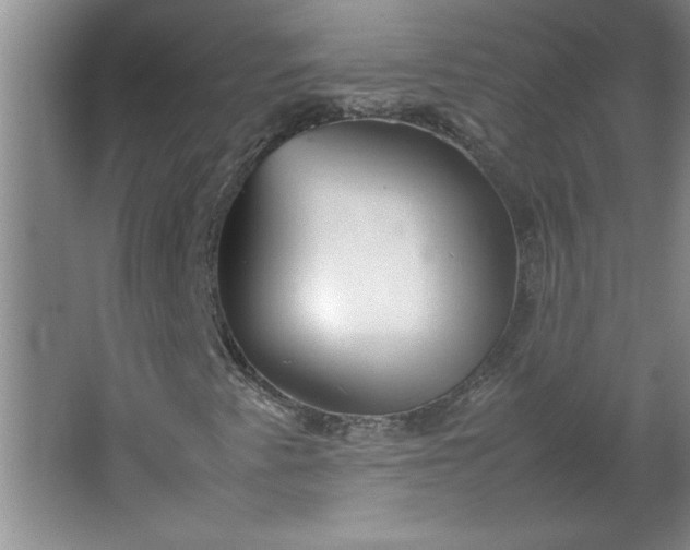 X0000064061345200602101519