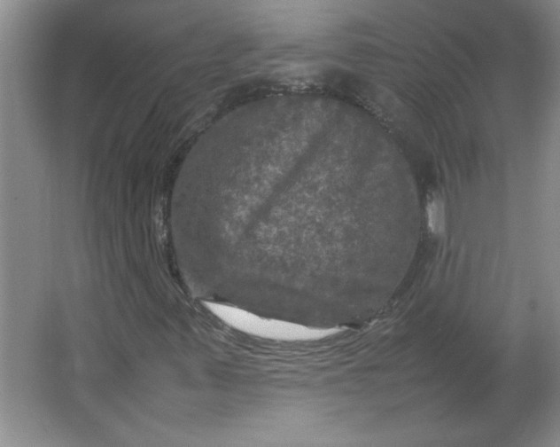 X0000064061347200602101519