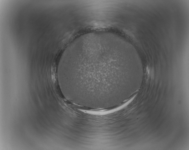 X0000064061348200602101519