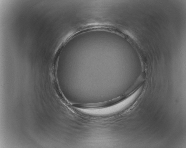 X0000064061357200602101519