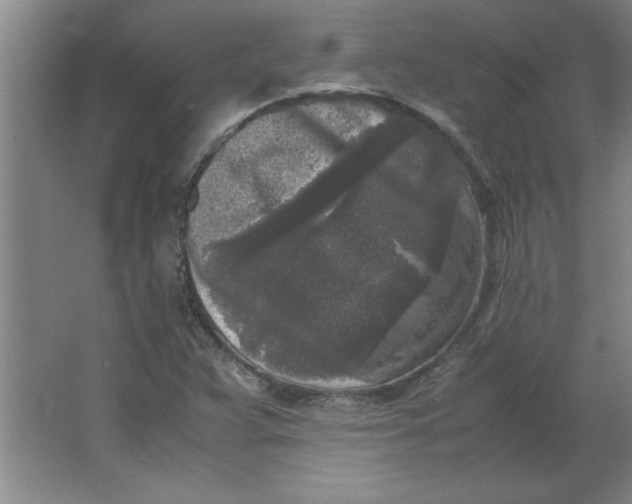 X0000064061359200602101519