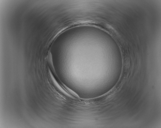 X0000064061361200602101519