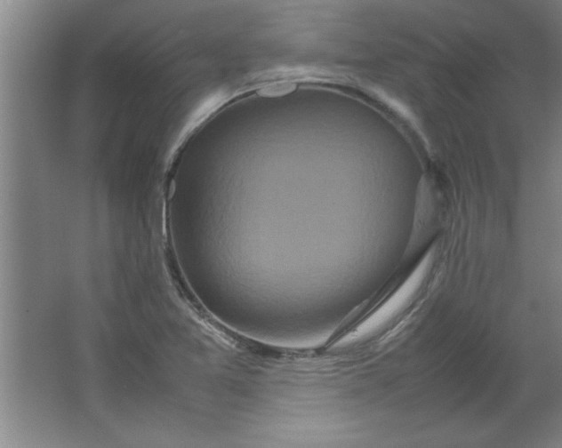 X0000064061365200602101519