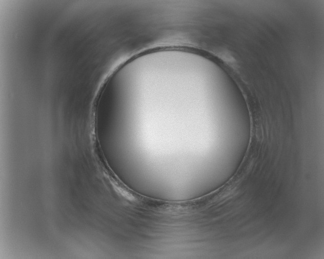 X0000064061366200602101519