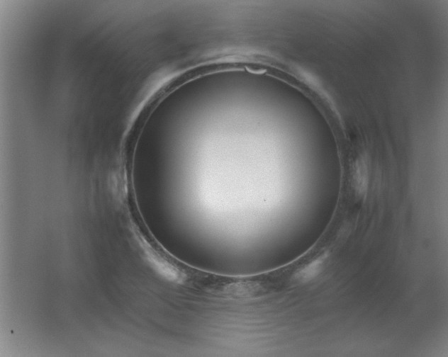 X0000064061368200602101519