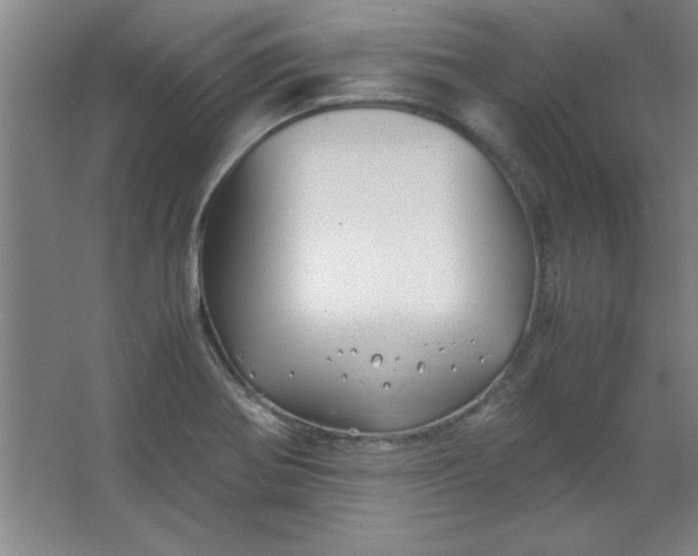 X0000064061370200602101519