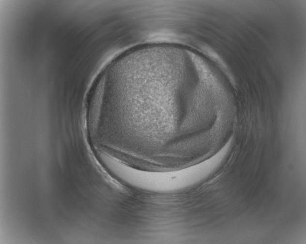 X0000064061376200602101519