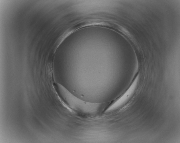 X0000064061377200602101519