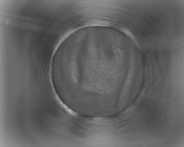 X0000064061379200602101519