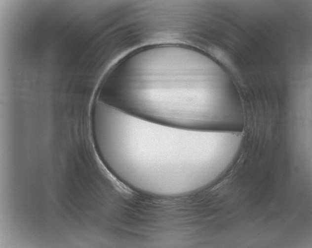 X0000064061380200602101519
