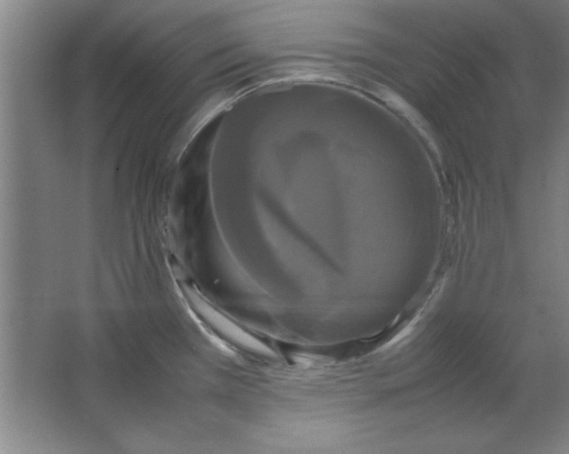 X0000064061385200602101519