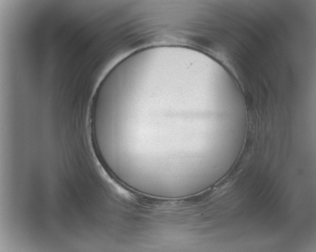 X0000064061387200602101519