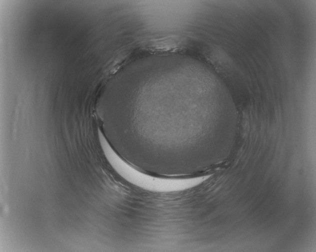 X0000064061394200602101518