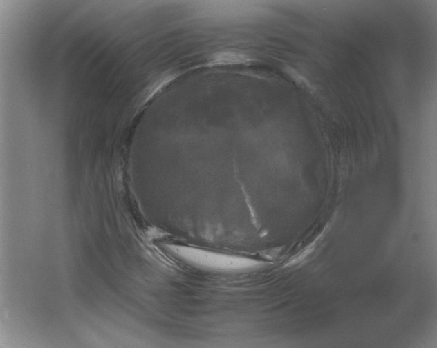 X0000064061401200602101518