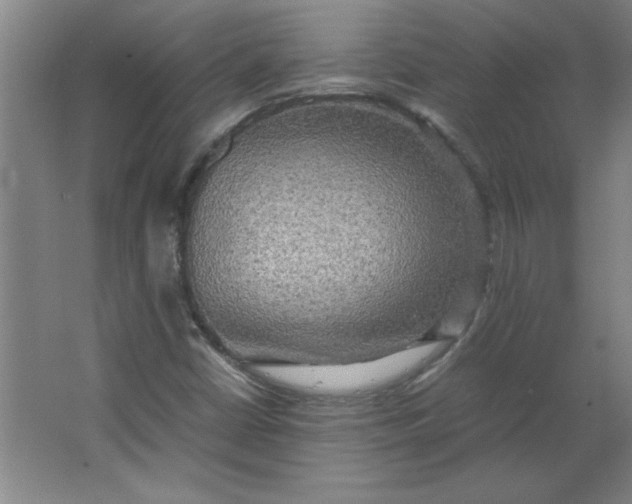X0000064061402200602101518