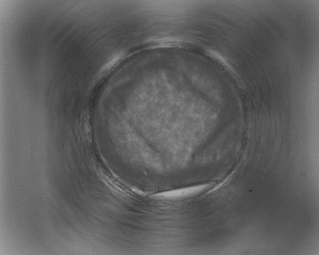 X0000064061403200602101518