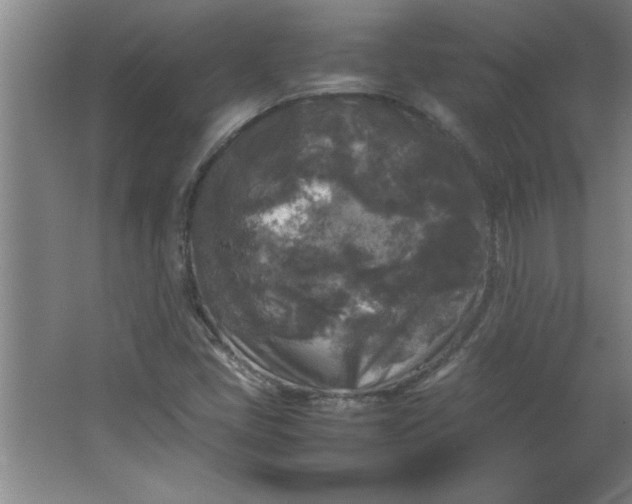 X0000064061405200602101518
