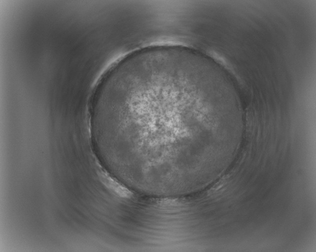 X0000064061408200602101518