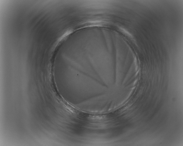 X0000064061411200602101518
