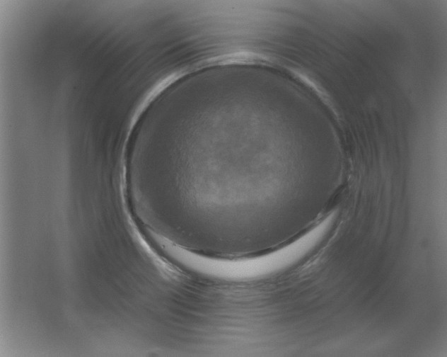 X0000064061418200602101518
