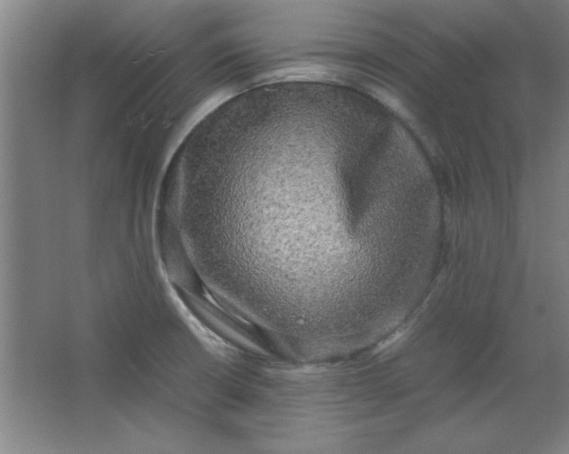 X0000064061426200602101518