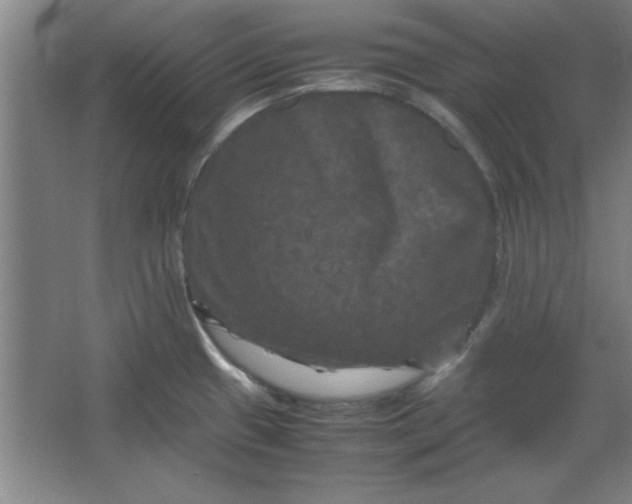 X0000064061433200602101518