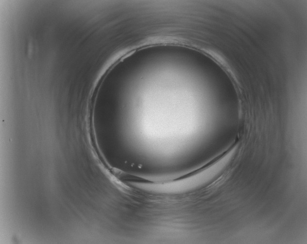 X0000064061438200602101519