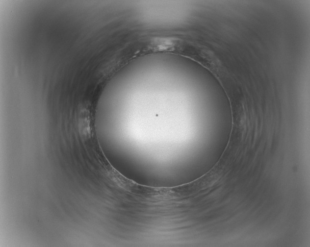 X0000064061442200602101518