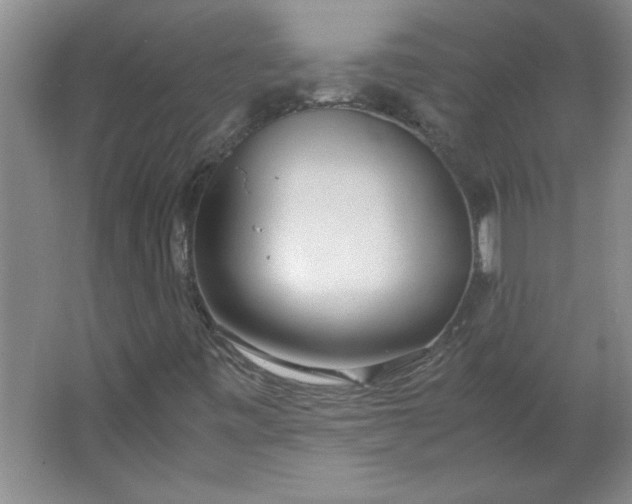 X0000064061443200602101518