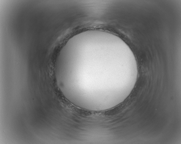 X0000064061447200602101518