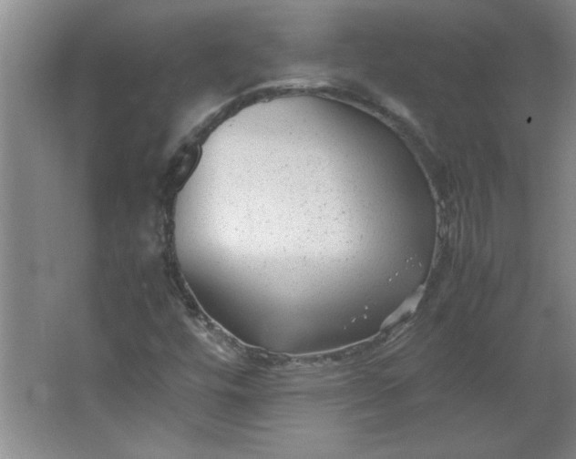 X0000064061448200602101518