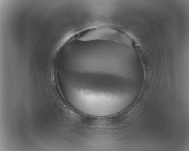 X0000064061455200602101518