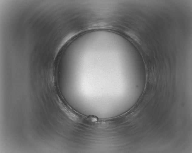 X0000064061458200602101518