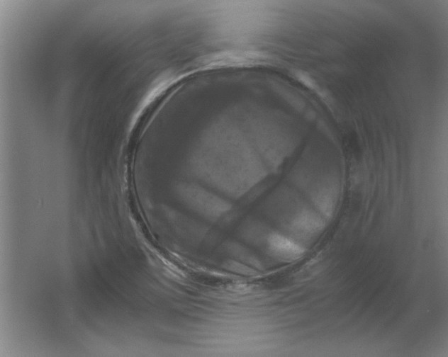 X0000064061459200602101518