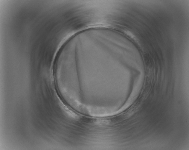 X0000064061466200602101517