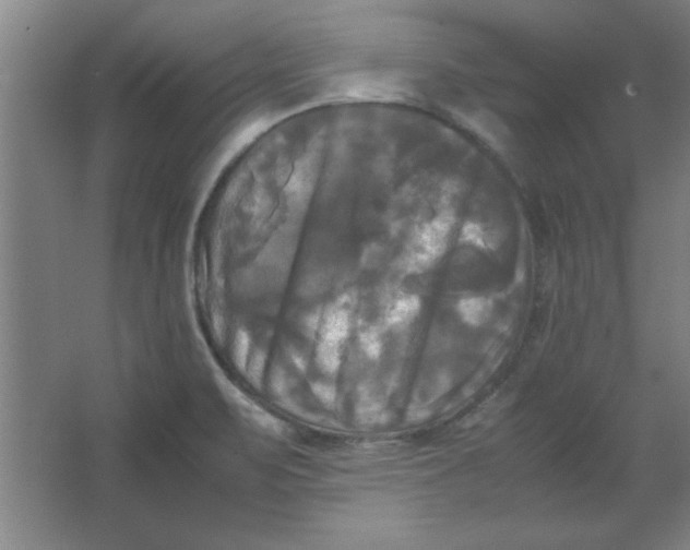 X0000064061471200602101517