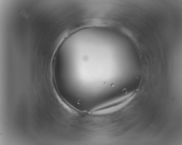 X0000064061479200602101517