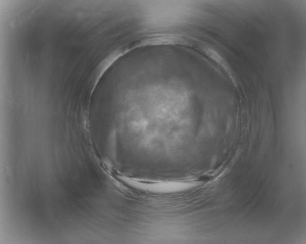 X0000064061481200602101517
