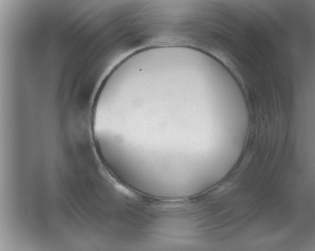 X0000064061486200602101517