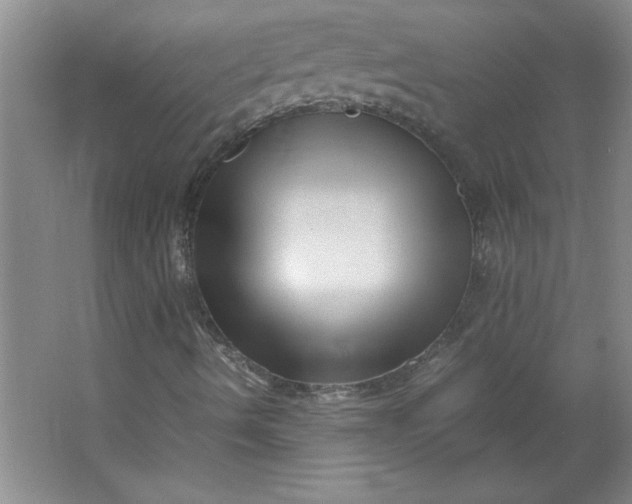 X0000064061490200602101516