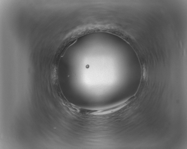 X0000064061492200602101516