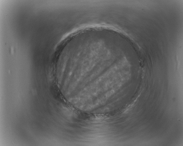 X0000064061494200602101516