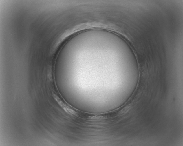 X0000064061499200602101516