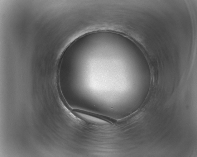 X0000064061500200602101516