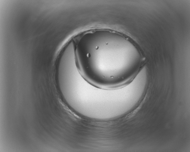 X0000064061502200602101516